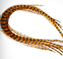 ���� Dry Fly (��� ����� ���) 10 ��. grizzly sunburst  , ������ � 10-12
